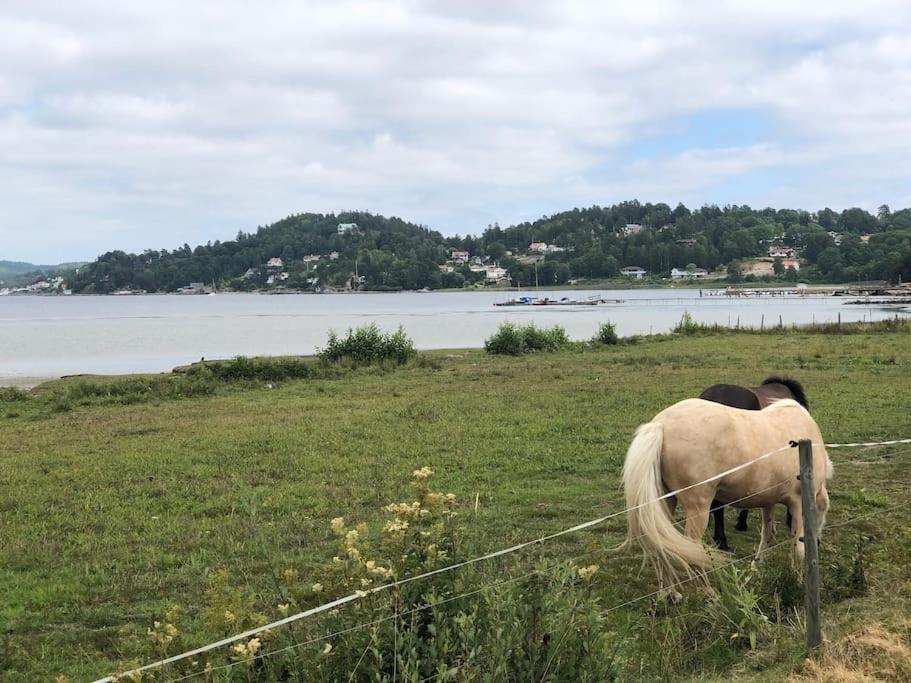Apartment Right Next To The Golf Course And With The Ocean Just Around The Corner Ljungskile Zewnętrze zdjęcie